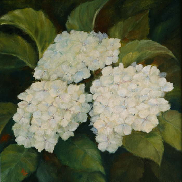 Hortensia
